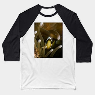 Clownfish Peeking Through Anemone Baseball T-Shirt